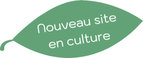 Nouveau site en culture